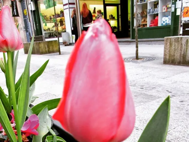 The Flowery expands its presence in New York City, opening its eighth store in the East Village,...