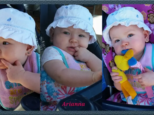 Creative School Bus DIY Projects to Try