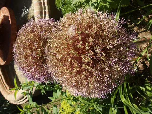 Pets find hydration benefits from water fountains