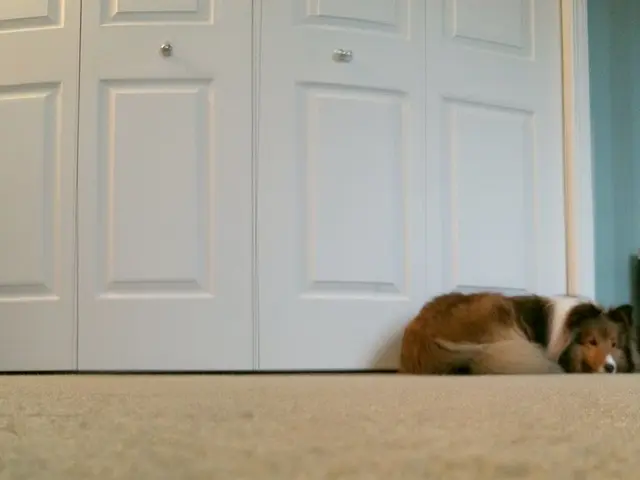 Exceptional Air Purifier on Sale Today, Performing Outstandingly Well ($50 discount applied)