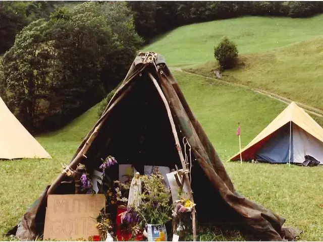 Landscaping Dividers: 9 Innovative Approaches to Division for a Room-Like Feel in Your Outdoor...