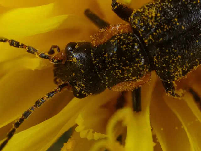 Apply the given solution and watch as pests disappear.