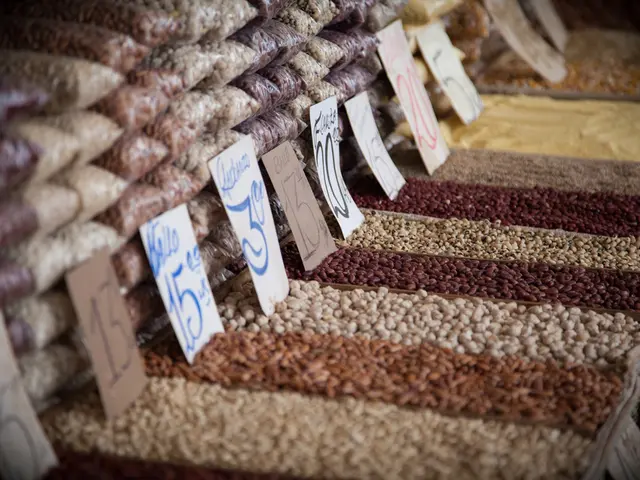 Guide on Growing Grains (and Creating Sprouted Grain Powder)