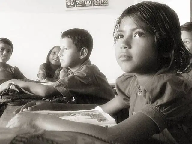 "2025's Most Extravagant Calendars Unveiled"