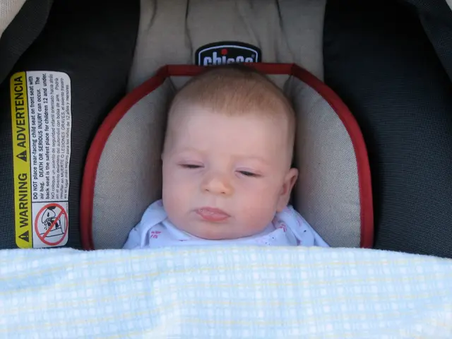 Organic Eco Kids Mattress: A Stunning and Safety-Conscious Choice for Your Child's Sleep