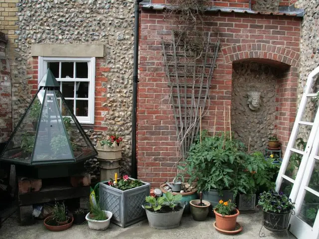 Maintaining Basil's Vigor: Reliable Techniques for Thriving Herbs