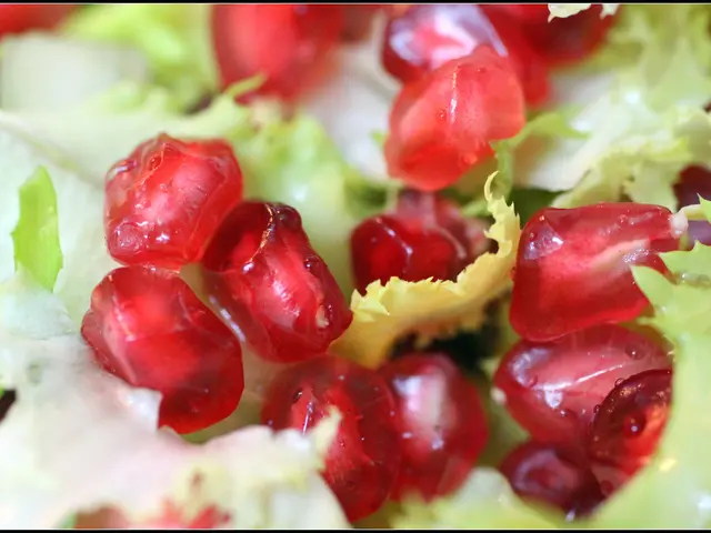 Savoring Mexico's Flavors: A Journey to Granada