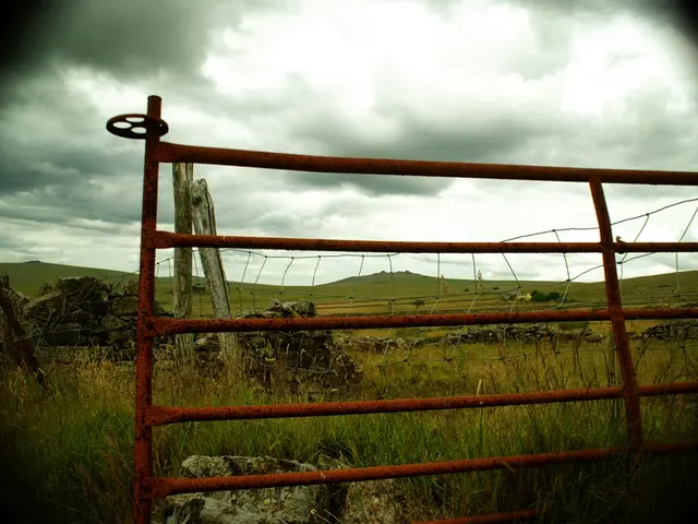 Routine Check-ups are Essential for Maintaining a Well-Preserved Cedar Roof