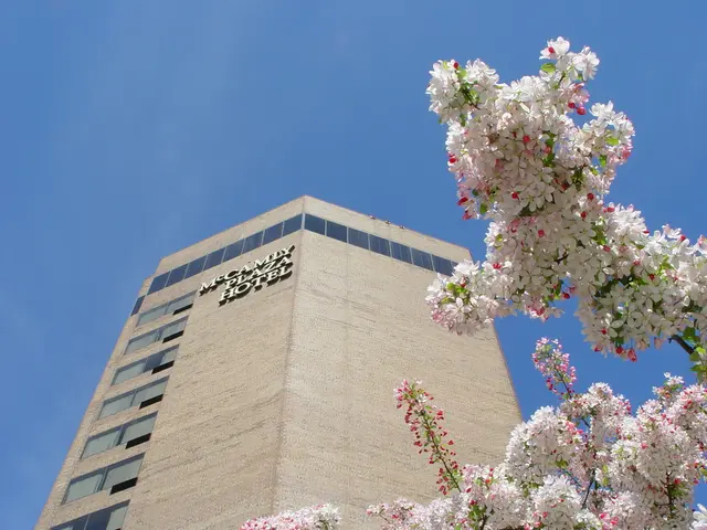 Top-notch Free Lightroom Presets for Captivating Travel Snaps in 2025