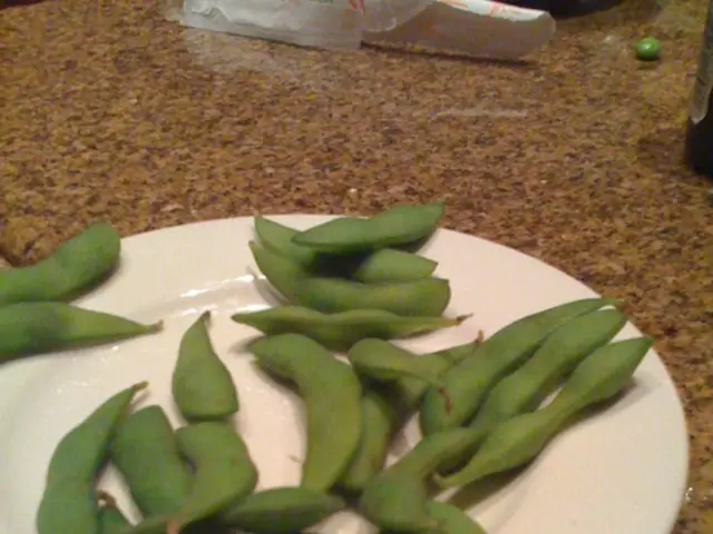 Methods to Store Green Beans After Harvest: Efficient Conservation Strategies