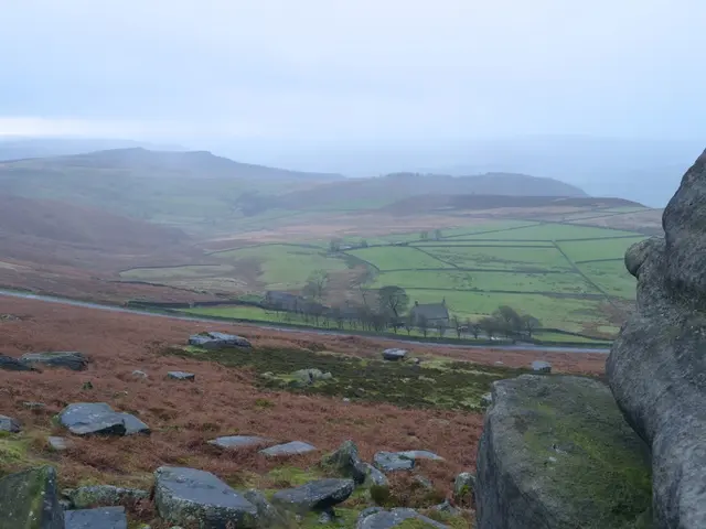 Unfolds the global resonance in Calabria, showcasing two international fests nestled amidst...