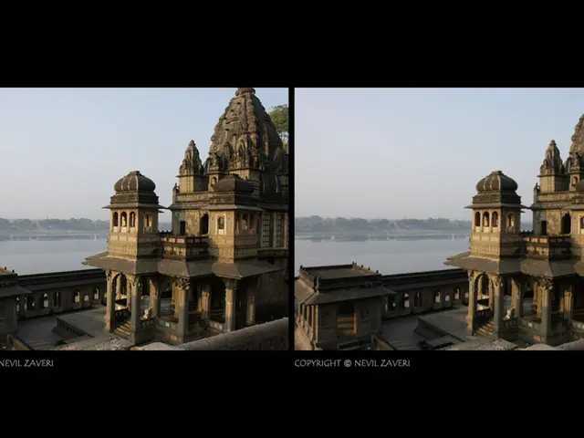 Recognition for Outstanding Participation