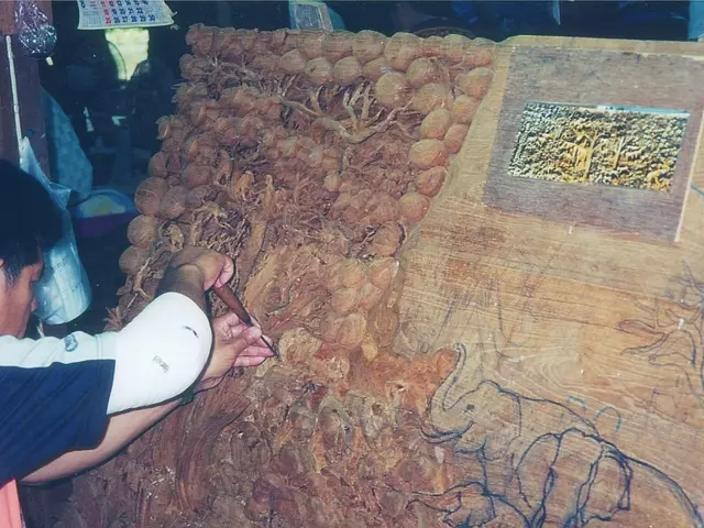 Artisans from India, totaling 160, will participate in the "Topor Festival" in Italy