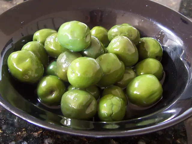 A venerable olive tree in Mersin remains prolific with fruit production