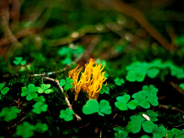 Pre-Planting Soil Temperature Analysis