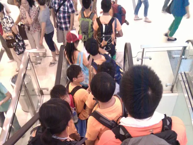 Further Insights. Sequel.