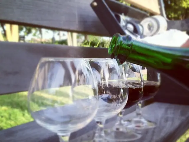 Successful Crop Harvest in Freital Once Again!