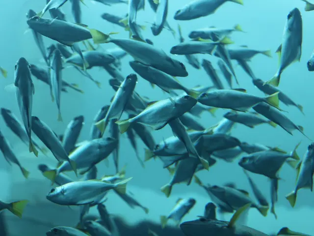 Recognized Achievement in Compact Ocean Artwork 2019 by Lawrence Alex Wu