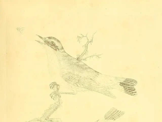 Insights, Section 1.