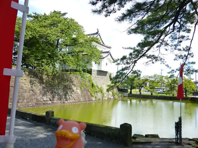 Sailing excursion aboard the Canandaigua Lady supports Thompson Health Guild's initiatives