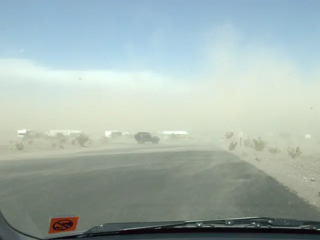 Is a Personally Tailored Car Windshield Sun Shield a Wise Investment?