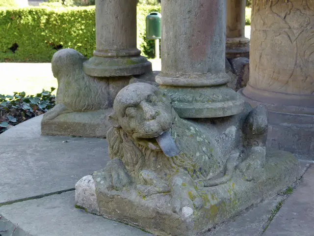 Female participation is now permitted in the Lions Club, starting from the year 2022.