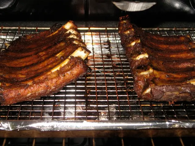 Strict Barbecue Prohibitions Result in €1000 Fines in Major Urban Area