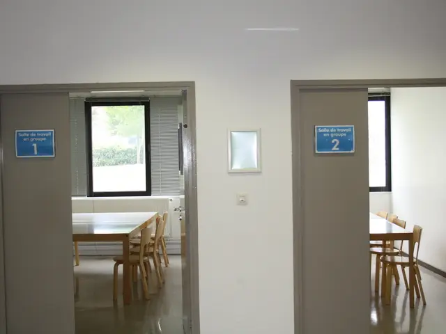 Examining Distinct Kitchen Doorways: An Array of Door Choices for Your Kitchen