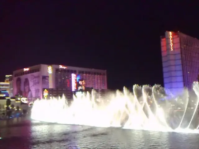 Omichi Decides on Appearance of Tuchachevsky Embankment Fountain