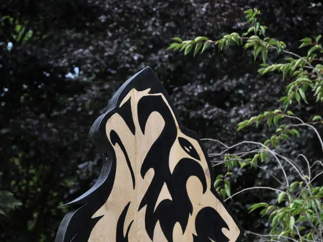 Is it permissible to use fence paint for decking? Professionals offer their opinions on the...