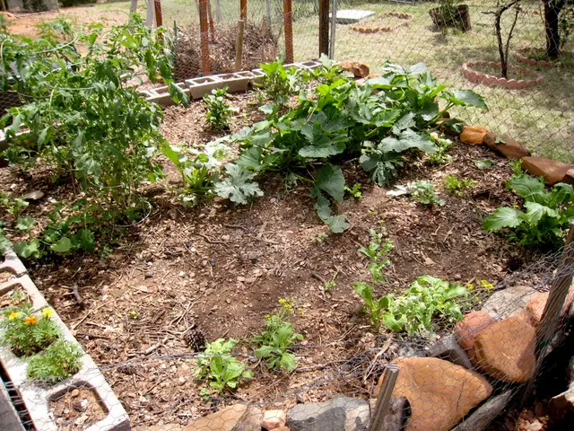 Nutrient Selection for Prosperous Cannabis Cultivation