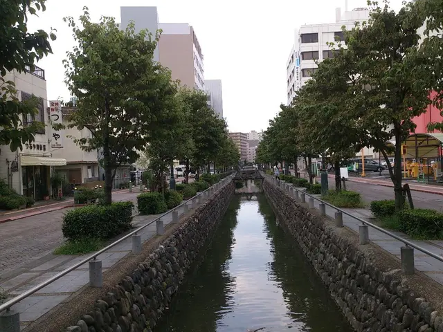 Environmental proposals for Bosco di Agognate and Sant'Agabio aim at creating a greener environment