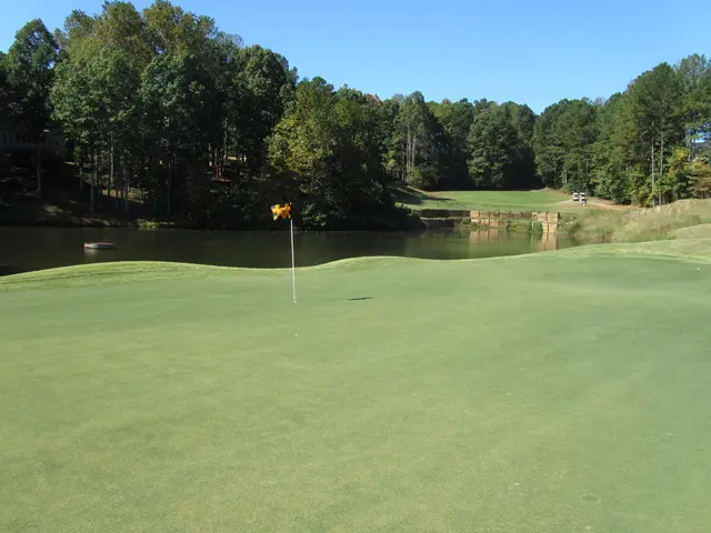 Alluring Aquatic Realms Unveiled