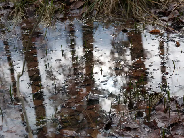 Duration of Life Span for Hot Water Systems: When to Consider Replacement?