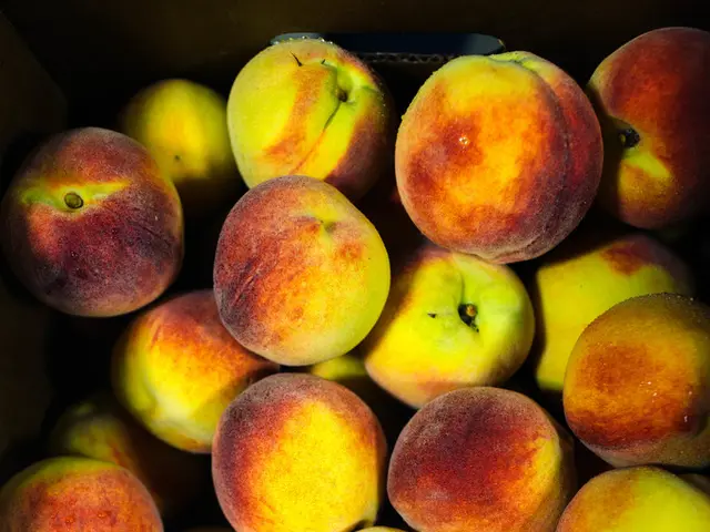 Regulation Implementation Rules to be Established by the Commission