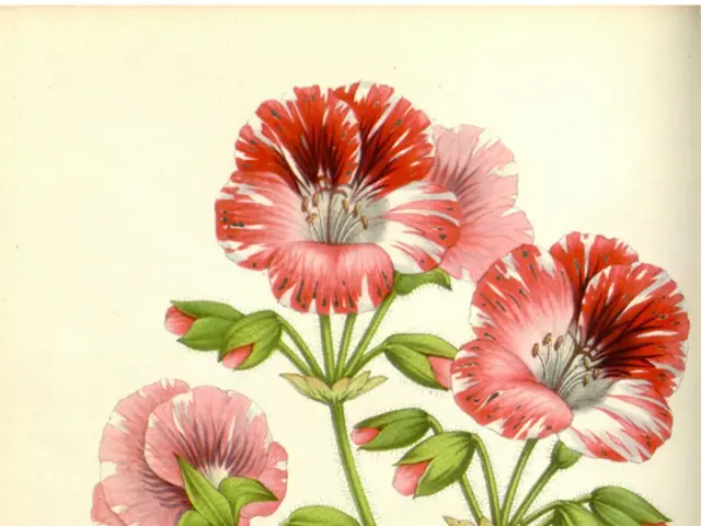 Autumn Emissary: The Blood-red Spider Lilies Signal Arrival