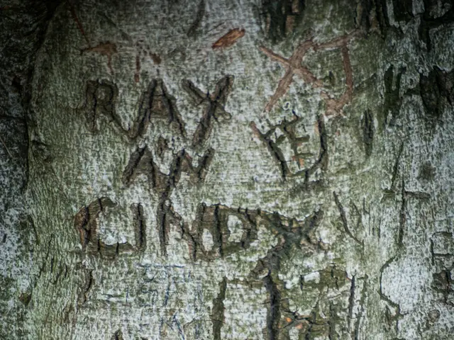 Disarray ensues as a trunk organizer undergoes evaluation.