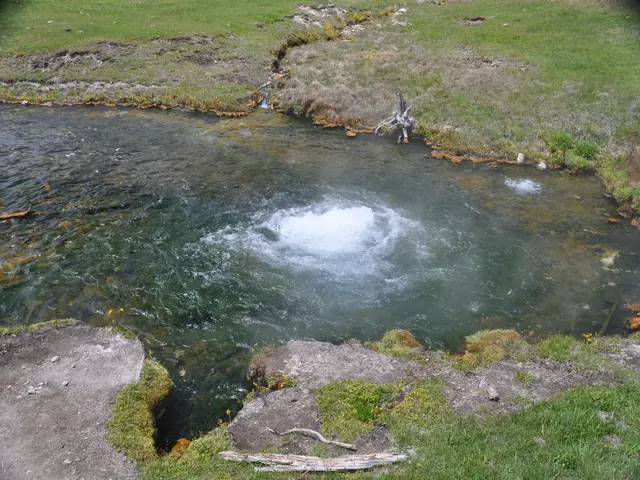 River cleanup efforts in Lahnufer spearheaded by volunteers