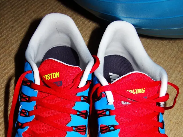 In this image there is a pair of shoes with red and blue combination which has some text on it and...