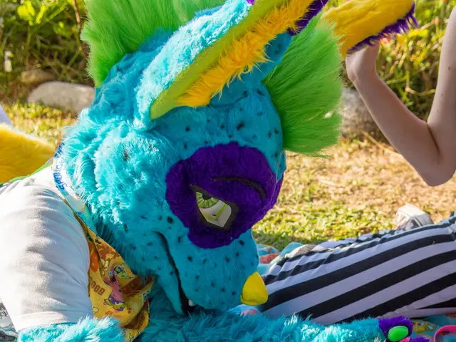 In this image I can see on the left side a person is wearing the costume, on the right side it...